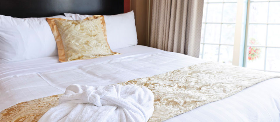 自动攻击网站工具下载